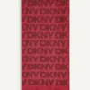 Dkny Metal Pashmina