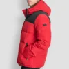 Logo Puffer