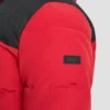 Logo Puffer